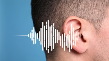 Rumore - a cosa portano i suoni eccessivi