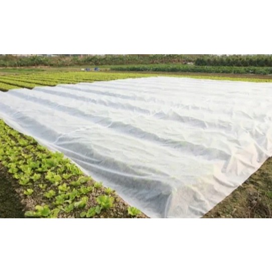 fibra agro bianca tessuto da biomassa 1,6x100m spesso 70g/m2 megamix.sk