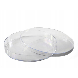 Piastra Petri PS 140x20mm 10pz