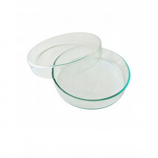 Piastra di Petri in vetro 50x12mm