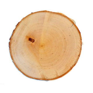 Listello di legno di betulla levigato 3-5cm 2cm