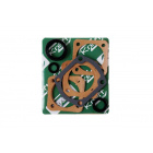 Sada tesnení prevodky riadenia - 6 komponentov (tesnenia krytov, guferká, gumový krúžok)