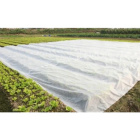 Agrofibra bianca tessuto da biomassa 1.6x100m spesso 70g/m2