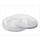 Piastra Petri PS 140x20mm 10pz