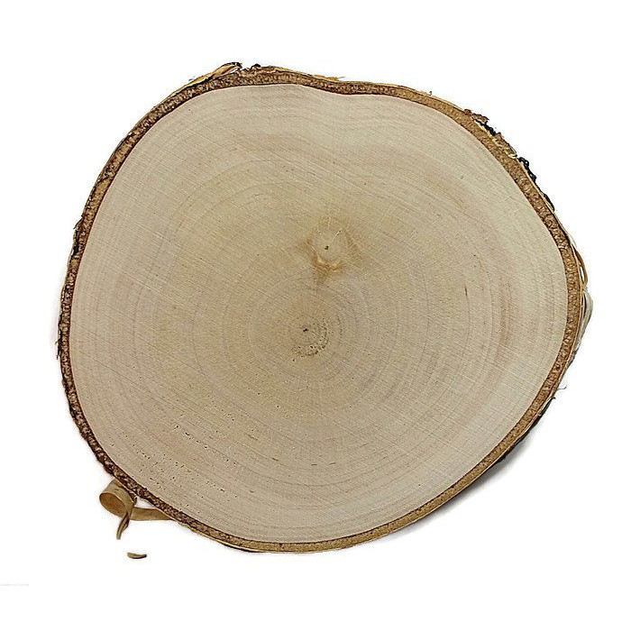 Tavola di legno di betulla levigata 10-12cm 1cm megamix.it