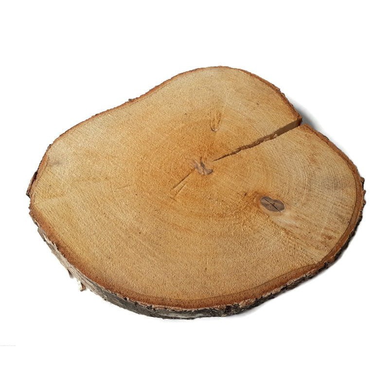 Disco di legno di betulla non levigato 25-28cm 2,5cm con crepa megamix.sk