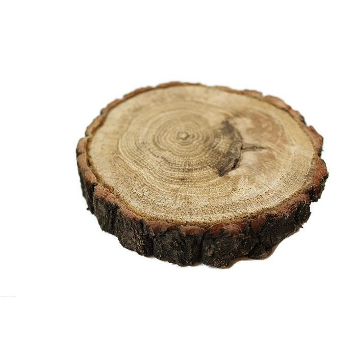 Disco di legno di quercia levigato 7-10cm 2cm megamix.sk