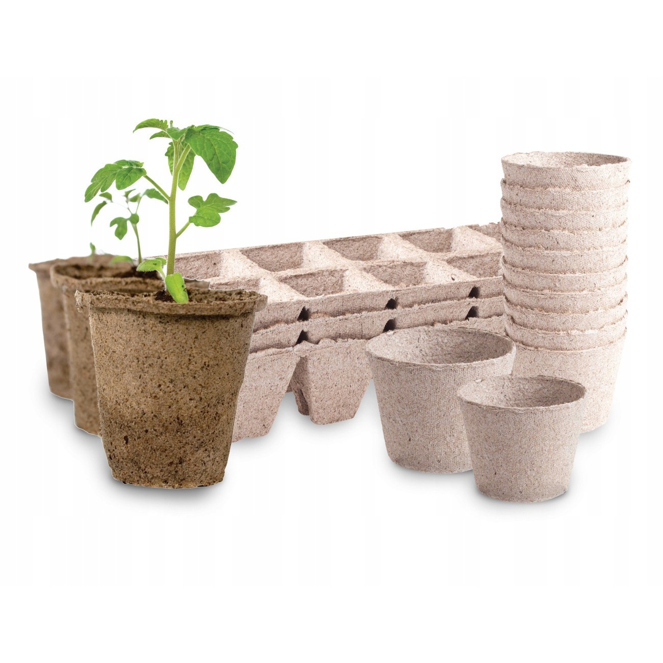 Vasi per trapianto 60pz 60x60mm megamix.sk
