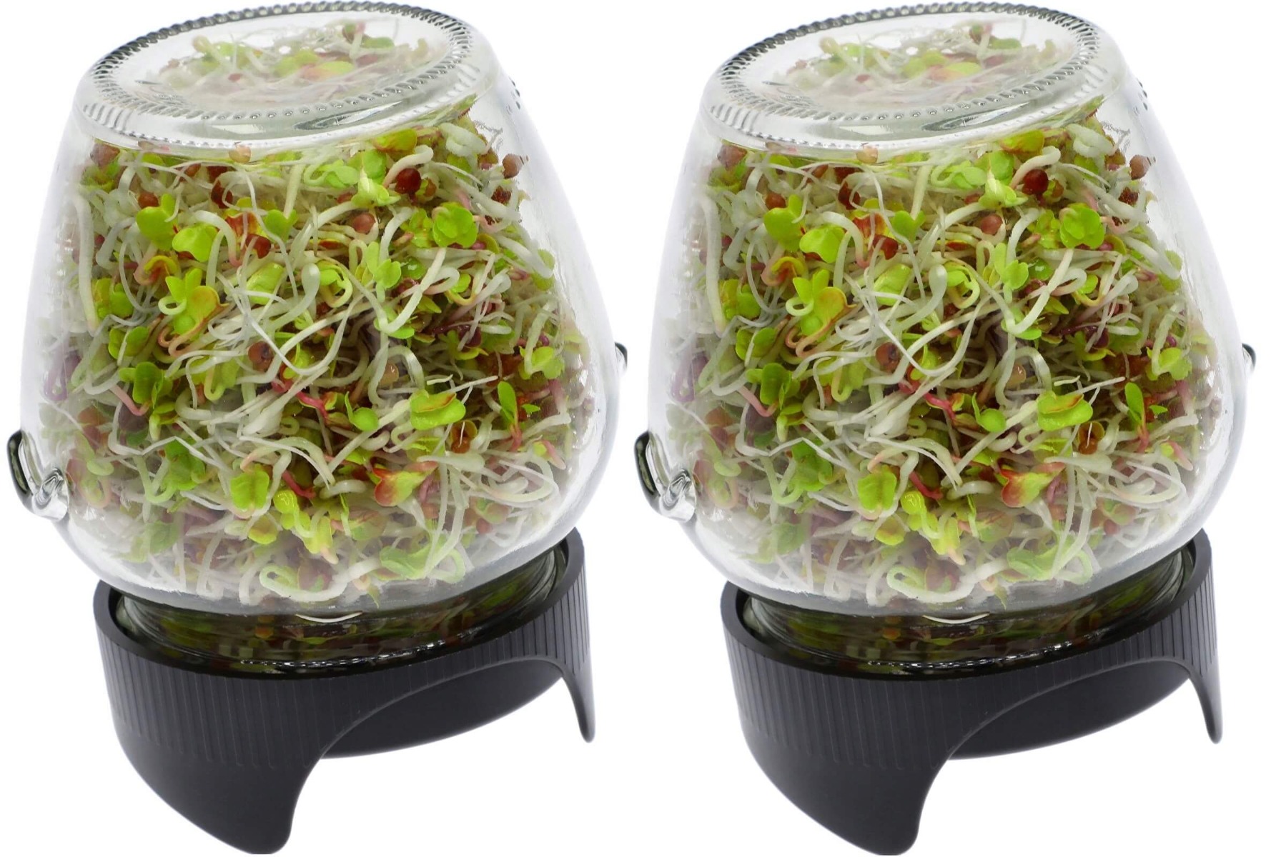 bicchiere germogliatore per germinazione 2 pezzi megamix.sk