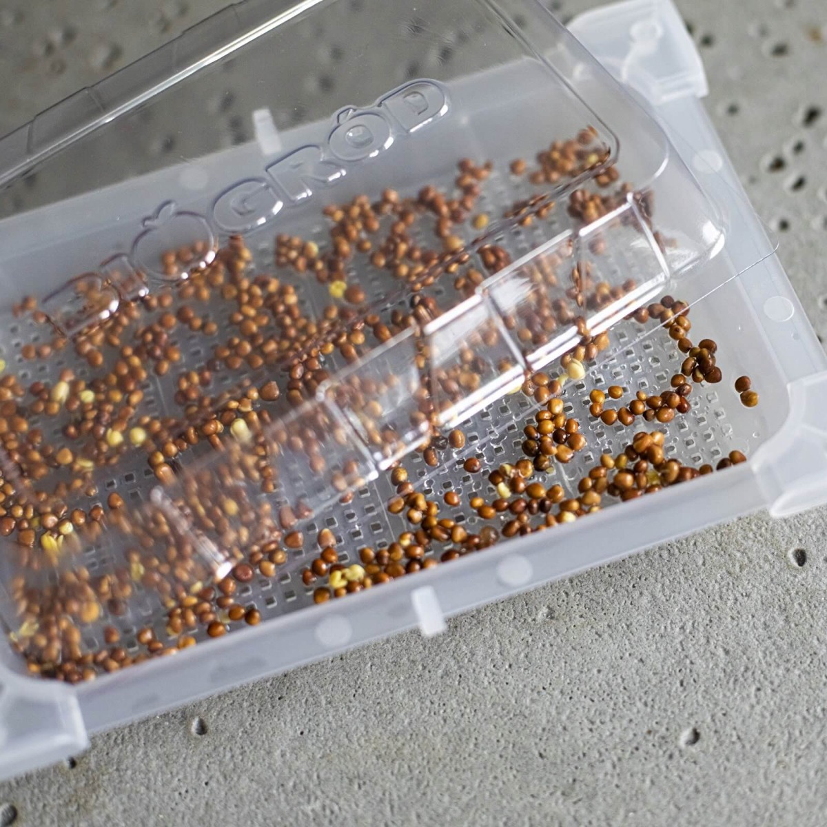 contenitore per germogli 18,5 x 12,5 cm megamix.sk