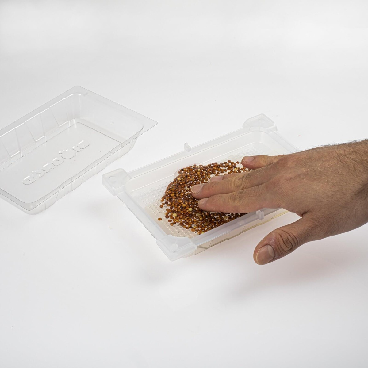 contenitore per germogli 18,5 x 12,5 cm megamix.sk