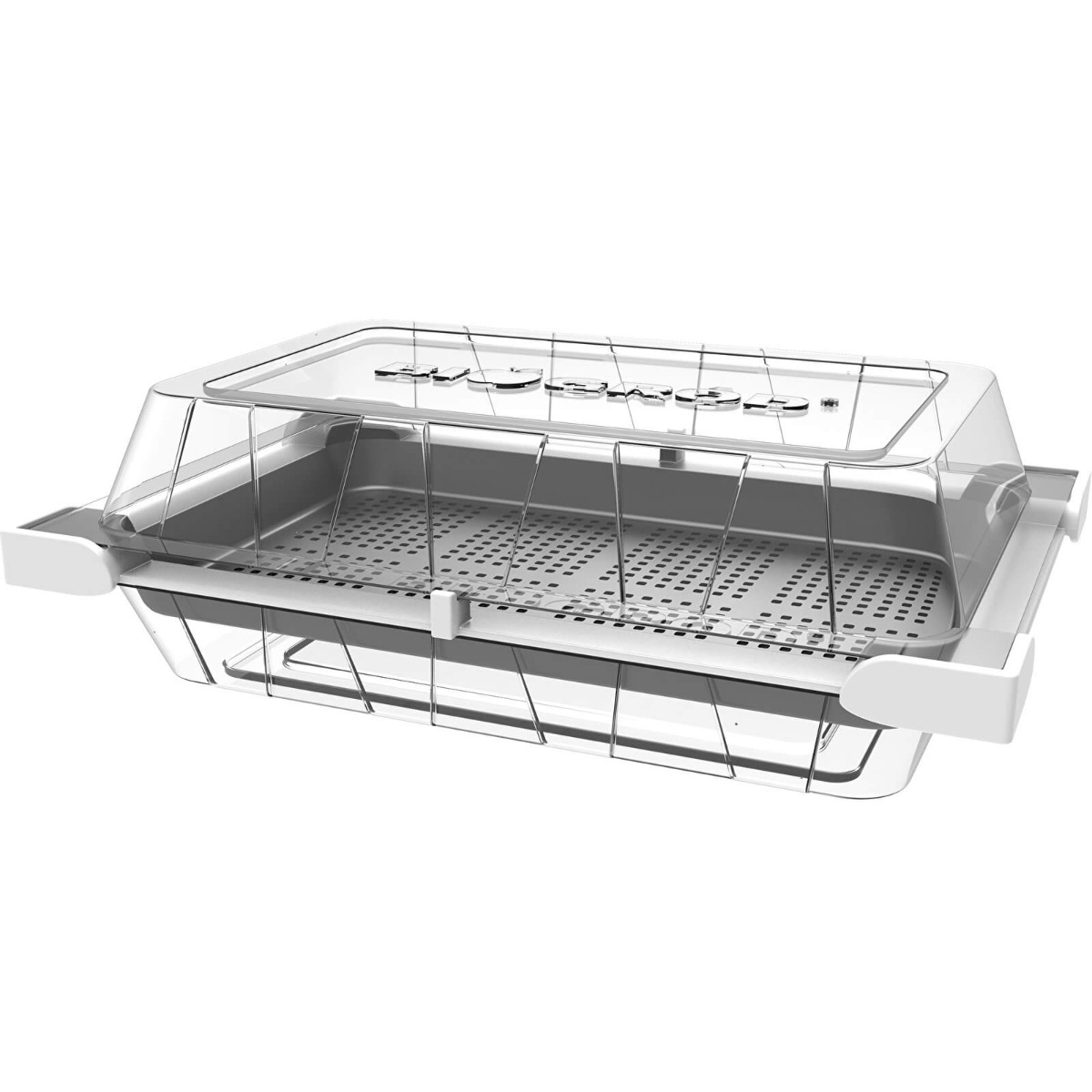 contenitore per germogli 18,5 x 12,5 cm megamix.sk