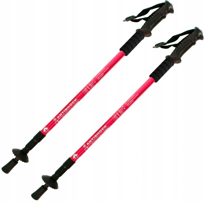 Bastoni da trekking per Nordic Walking