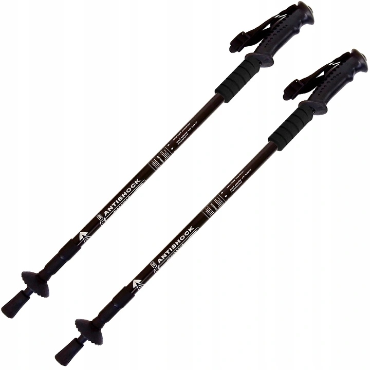 Bastoni da trekking per Nordic Walking