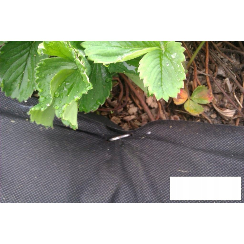 picchetti in acciaio per agrotextile 100pz 15cm 3mm megamix.sk