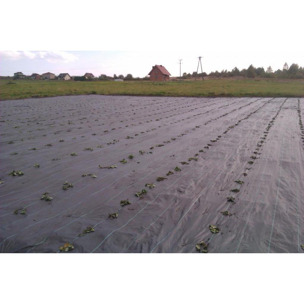 picchetti in acciaio per agrotextile 100pz 15cm 3mm megamix.sk