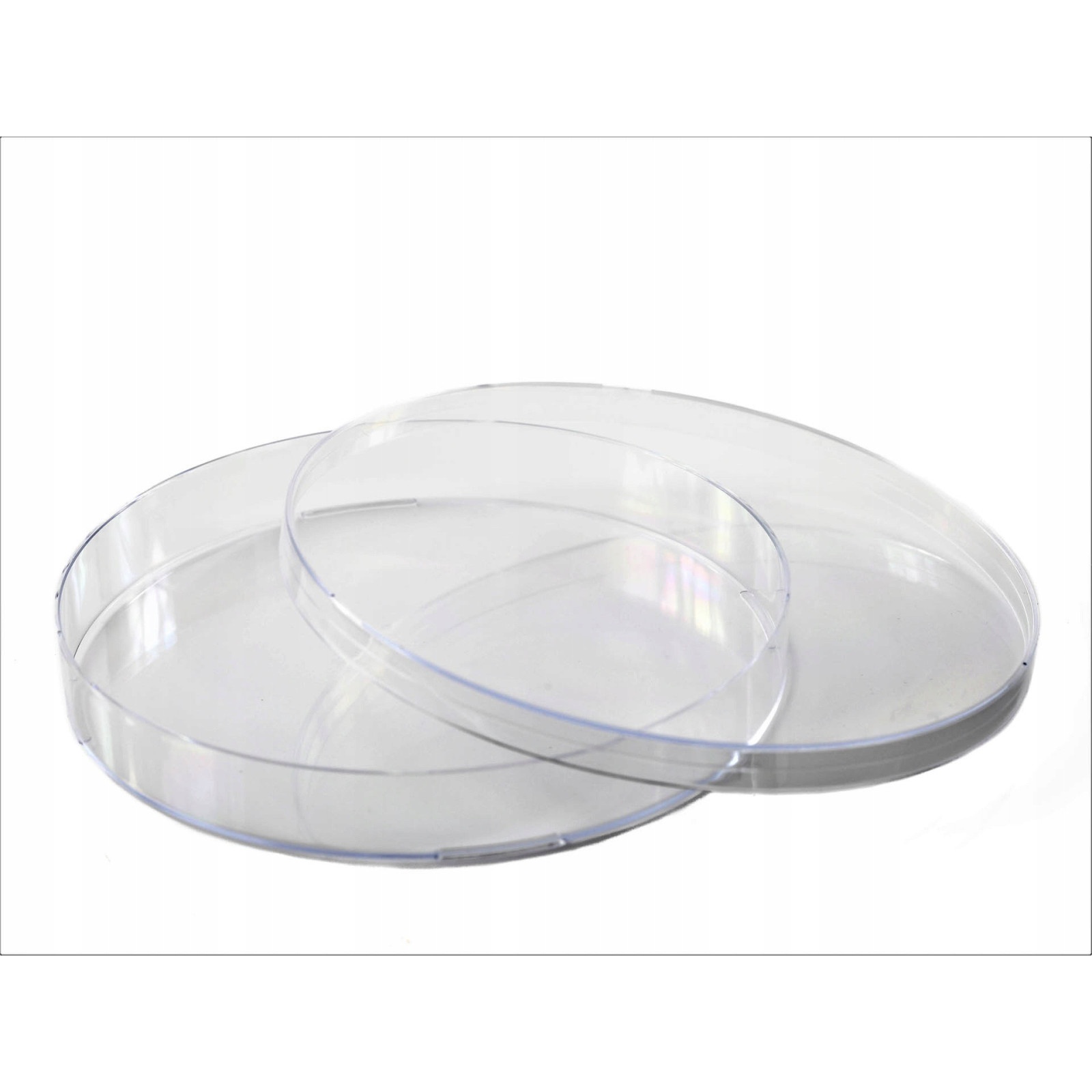 piatto di Petri PS 140x20mm 10 pezzi megamix.sk