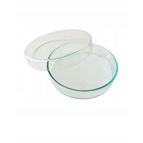 vetrino di Petri in vetro 120x20mm megamix.sk