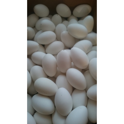 gusci d'uova d'oca soffiati per decorare uova di Pasqua kraslice megamix.sk