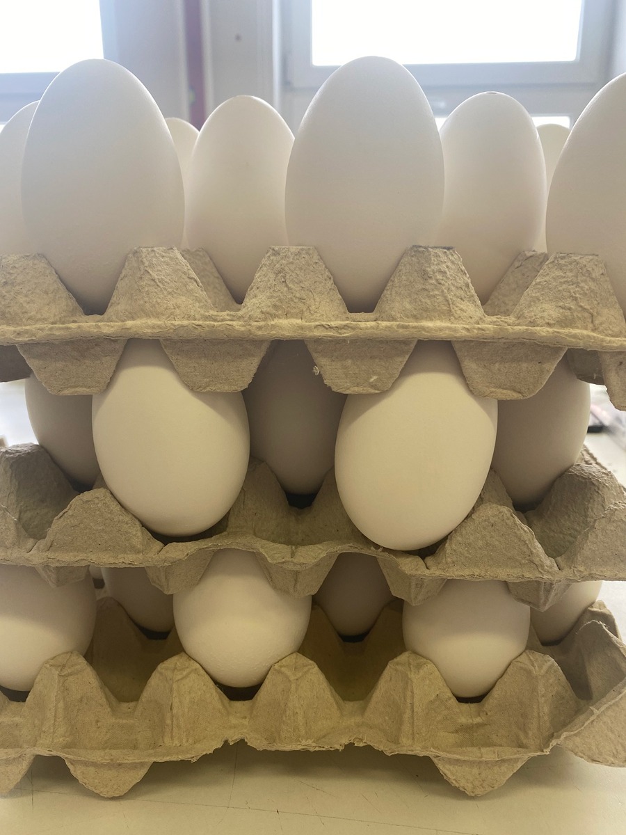 gusci d'uova d'oca soffiati per decorare uova di Pasqua kraslice megamix.sk