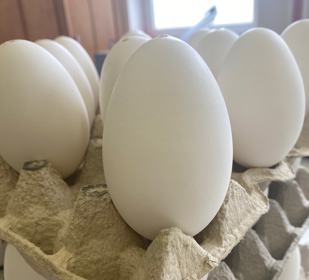 gusci d'uova d'oca soffiati per decorare uova di Pasqua kraslice megamix.sk